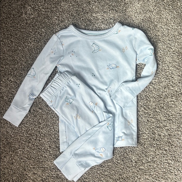 Cloud Island Soft Blue Pajama Set with Bunny Design - Picture 1 of 5